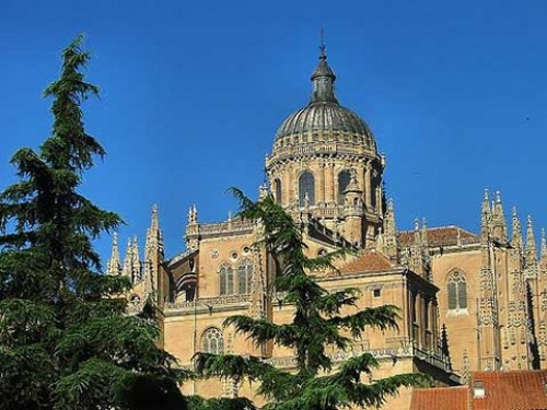 Enforex Salamanca
